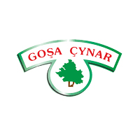 Goşa Çynar