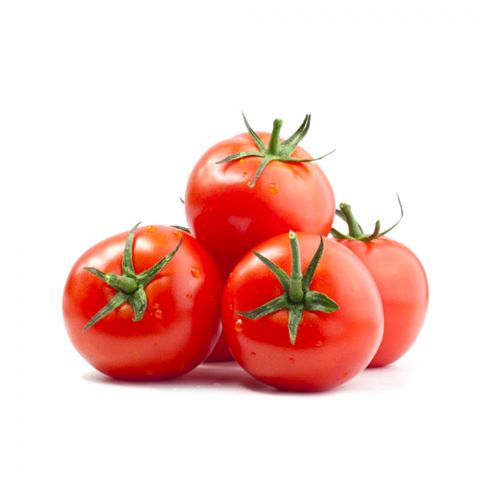 Pomidor (ýyladyşhana)